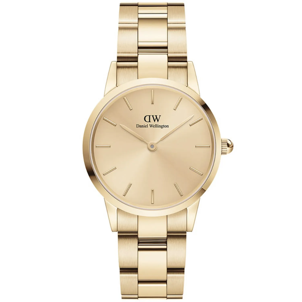 DANIEL WELLINGTON ICONIC LINK UNITONE